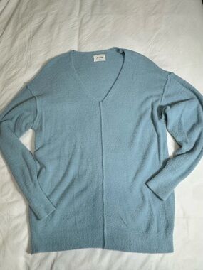 Aritzia Soft Sky Blue V-Neck Sweater